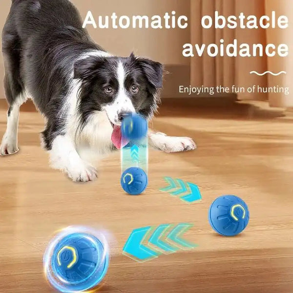 Smart Interactive Rolling Ball